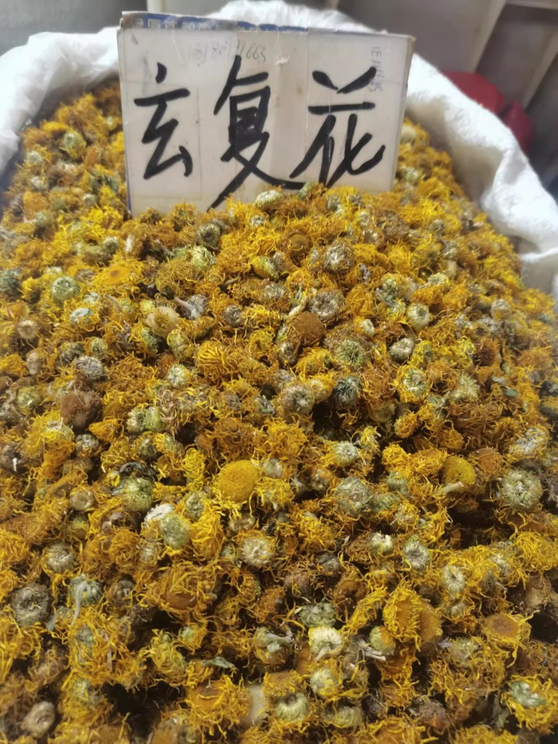 旋覆花野生中药材旋覆花新货无硫保质保量诚信经营