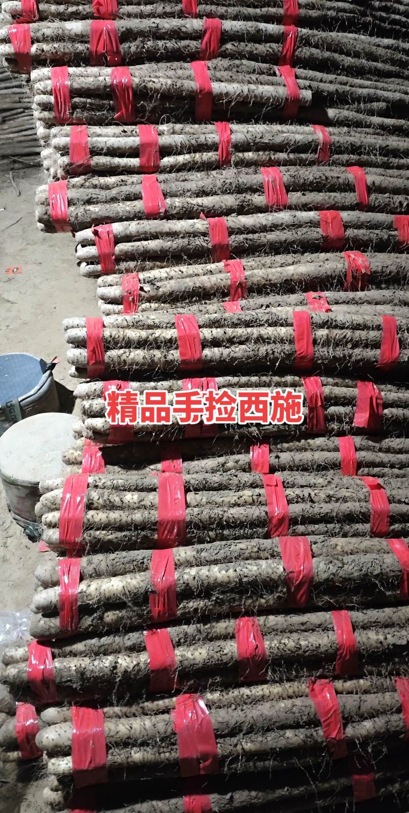 西施山药基地直供，专业团队，分捡，打捆，上车，一条龙服务