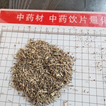 河北绞股蓝质量好量大从优质优价廉对接全国市场欢迎询价