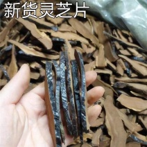黑灵芝片新货无硫黑灵芝保证正品诚信经营合作共赢
