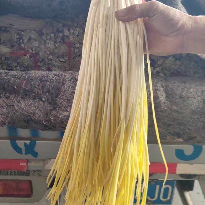 山东临沂精品蒜黄/量大从优/一手货源/产地直发