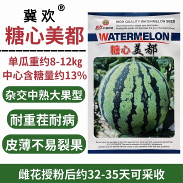 糖心美都西瓜种子大果西瓜种籽中熟高圆皮薄酥脆甘甜抗病耐裂