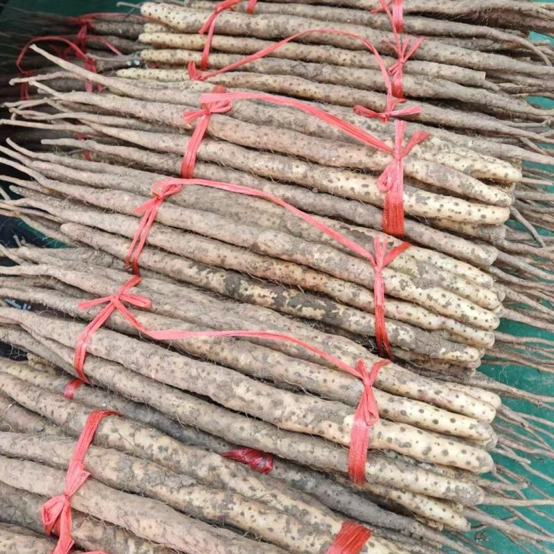 垆土铁棍山药温县焦作软糯香甜