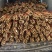 垆土铁棍山药温县焦作软糯香甜