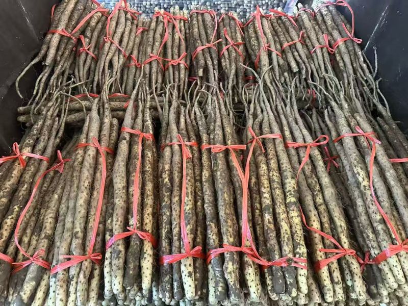 垆土铁棍山药温县焦作软糯香甜