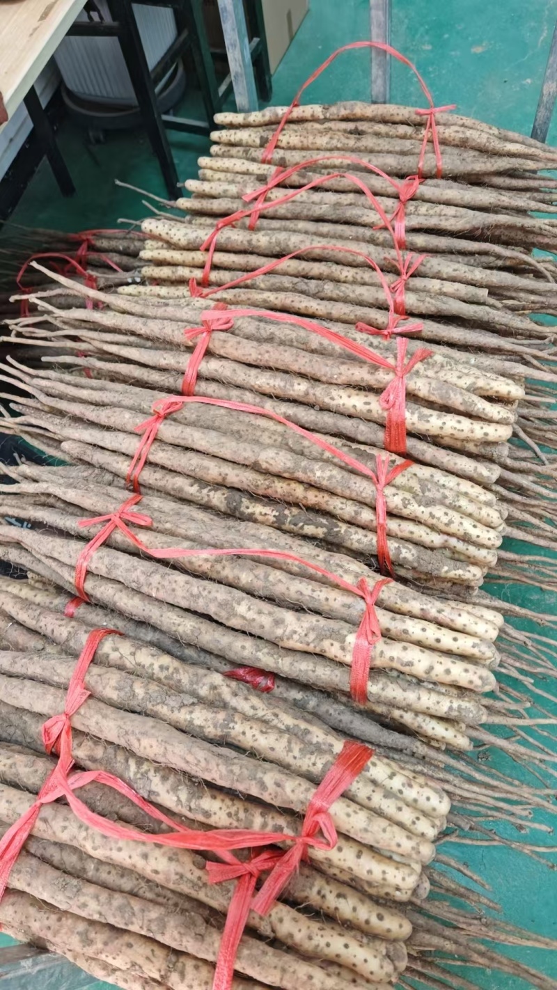 垆土铁棍山药温县焦作软糯香甜