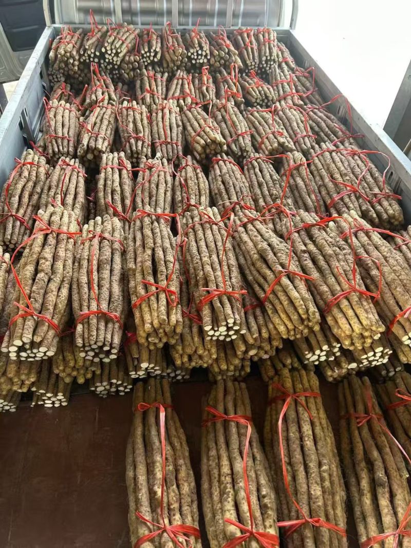 垆土铁棍山药温县焦作软糯香甜