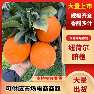 【实力推荐】湖北纽荷尔脐橙对接电商超市市场提供按需包装