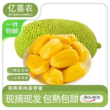 现摘海南黄肉菠萝蜜一整个新鲜水果干包菠萝特产批发