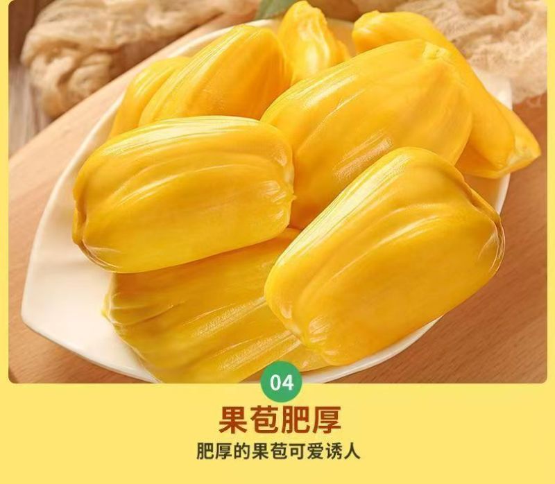 现摘海南黄肉菠萝蜜一整个新鲜水果干包菠萝特产批发