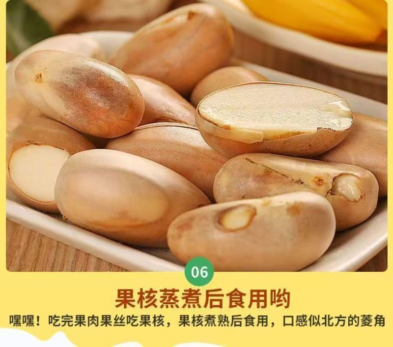 现摘海南黄肉菠萝蜜一整个新鲜水果干包菠萝特产批发