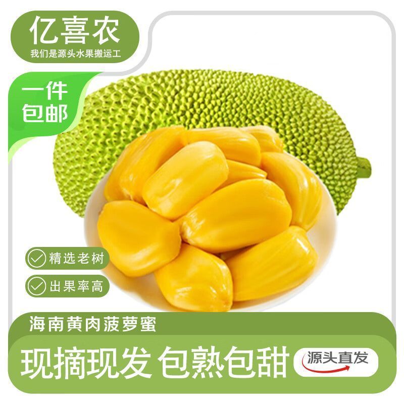 现摘海南黄肉菠萝蜜一整个新鲜水果干包菠萝特产批发