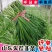 蔬菜供应商