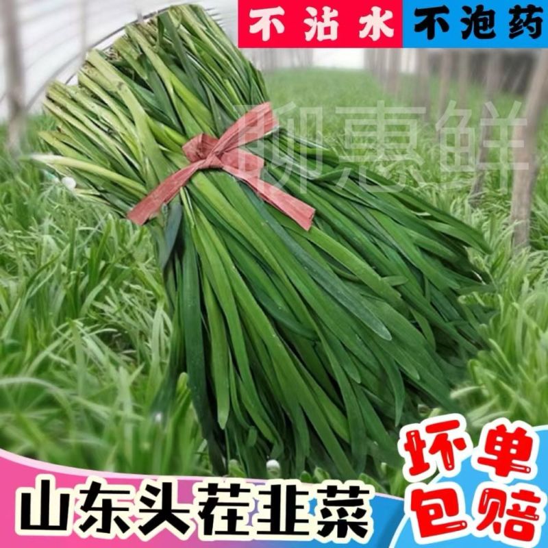 蔬菜供应商