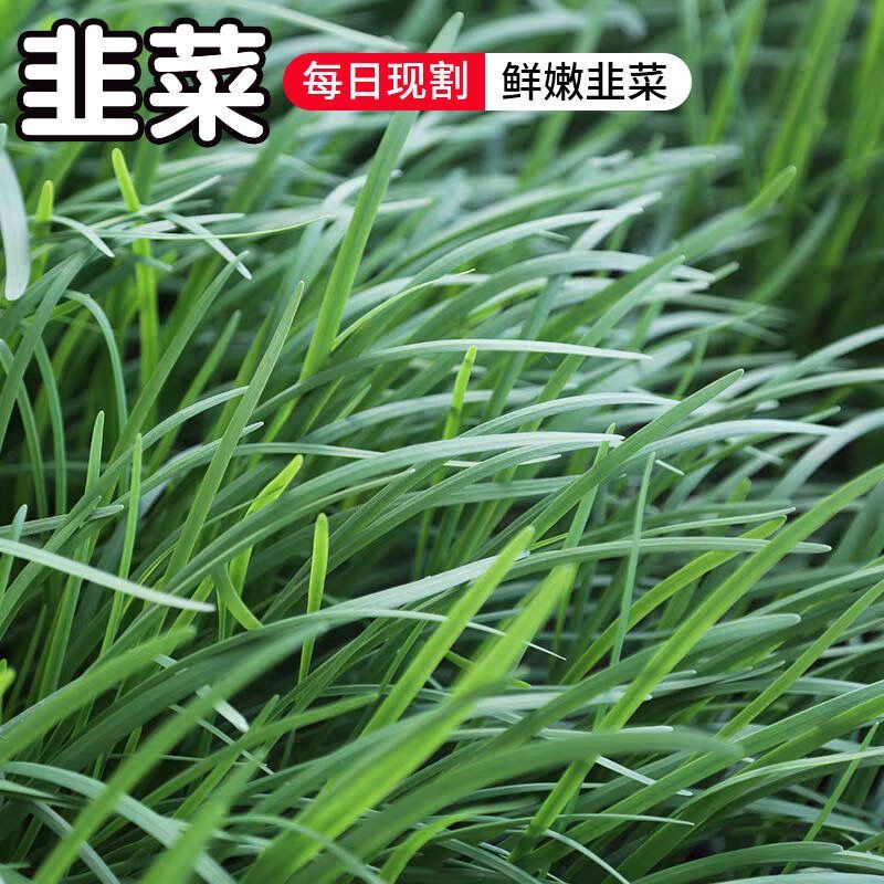 蔬菜供应商