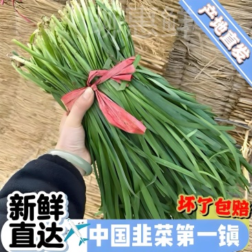 蔬菜供应商