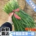 蔬菜供应商