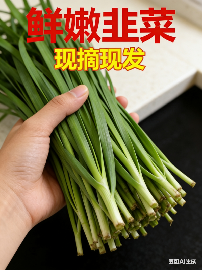 蔬菜供应商