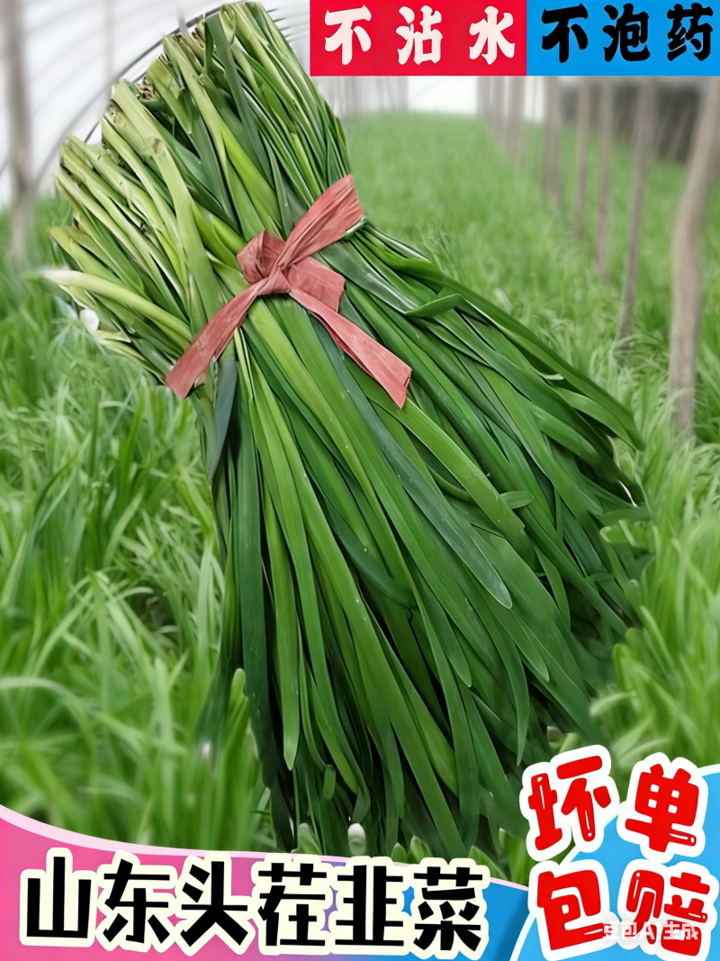 蔬菜供应商