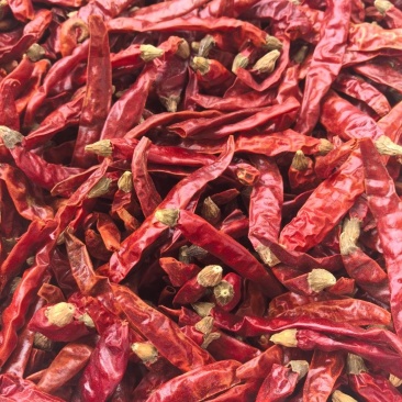 印度辣/特辣干辣椒/批发兼零售,量大可商议,全国包邮