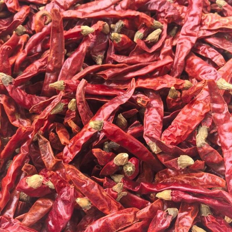 印度辣/特辣干辣椒/批发兼零售，量大可商议，全国包邮