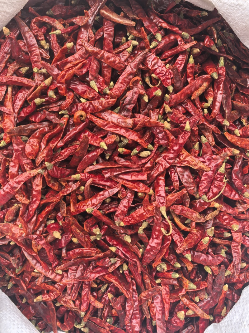 印度辣/特辣干辣椒/批发兼零售，量大可商议，全国包邮