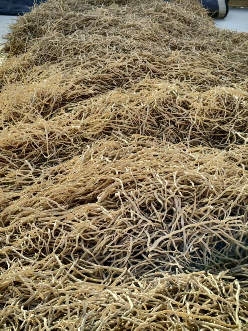 【推荐】宁夏银柴胡/自产自销/品质保证/量大优惠/视频看
