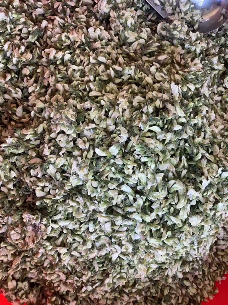 槐花新鲜槐花山东槐花春天的味道好价格实惠对接市场