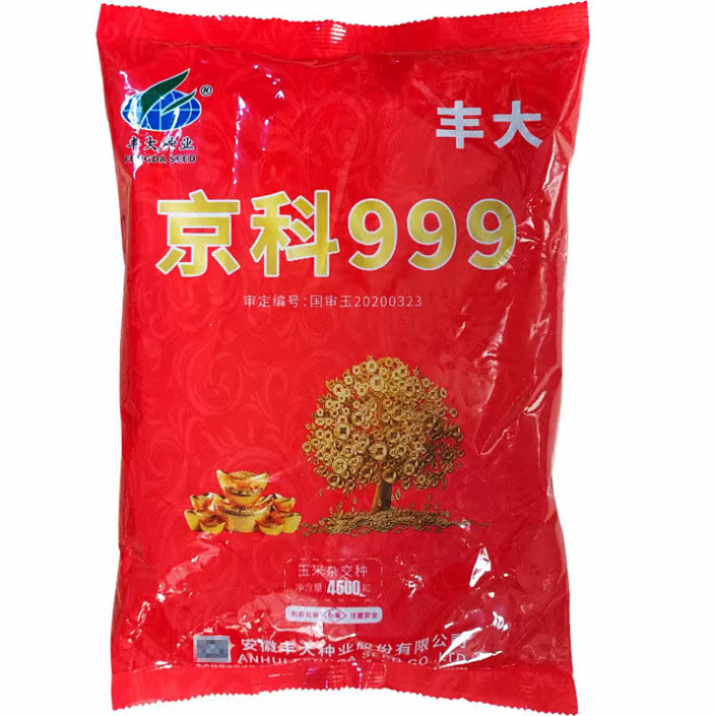 京科999玉米种子国审红轴大棒子抗病抗捍籽粒均匀稀植大棒