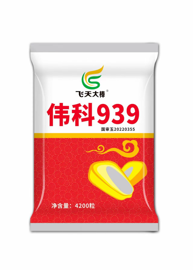 伟科939国审白轴稀植大棒子4200粒/袋抗病耐旱玉米种