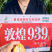 伟科939国审白轴稀植大棒子4200粒/袋抗病耐旱玉米种