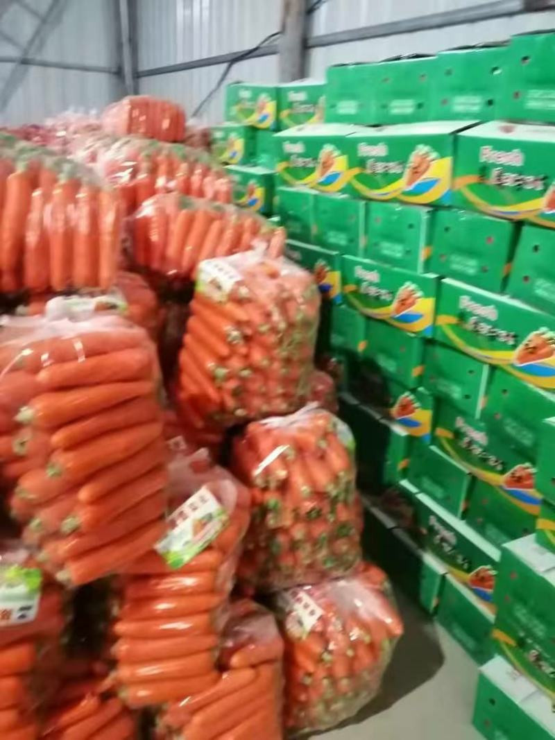 红萝卜精品中条储存加工精品包装对接商超欢迎联系