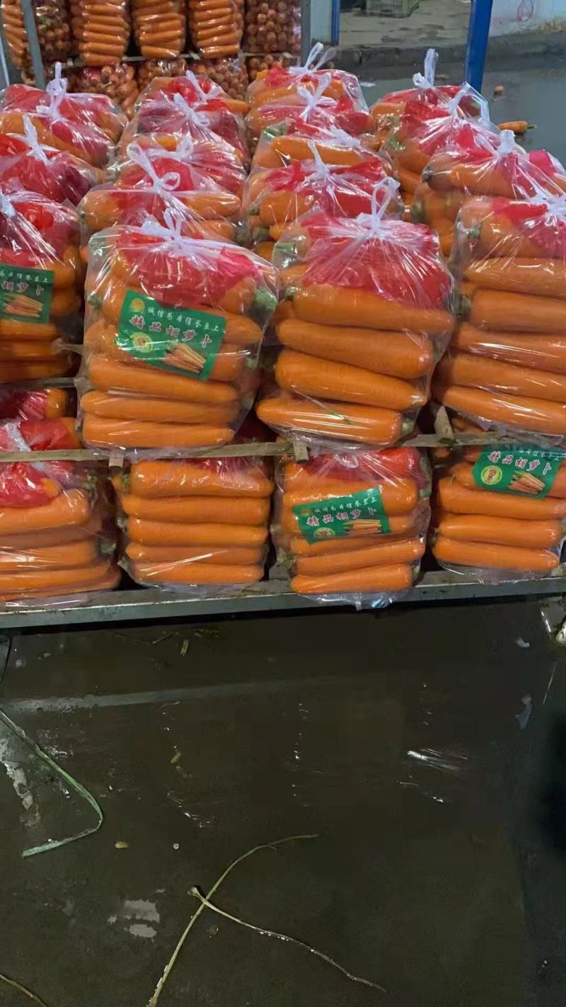 红萝卜精品中条储存加工精品包装对接商超欢迎联系