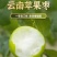 云南苹果枣批发全国发货！