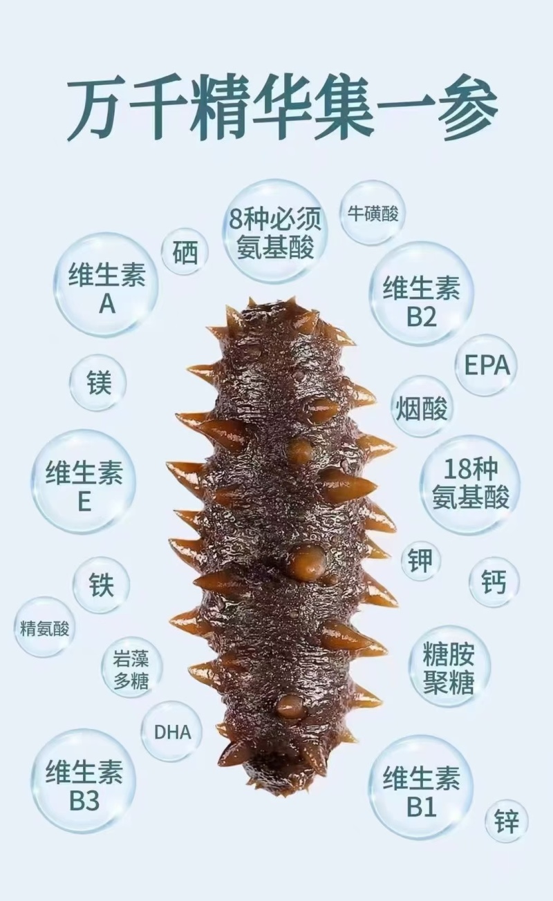 鲜食海参-批发零售，源头捕捞加工生产，贴牌代工，