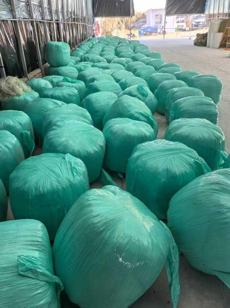 青贮牧草，富含蛋白质与各种微量元素。绿色种植，无农药化肥