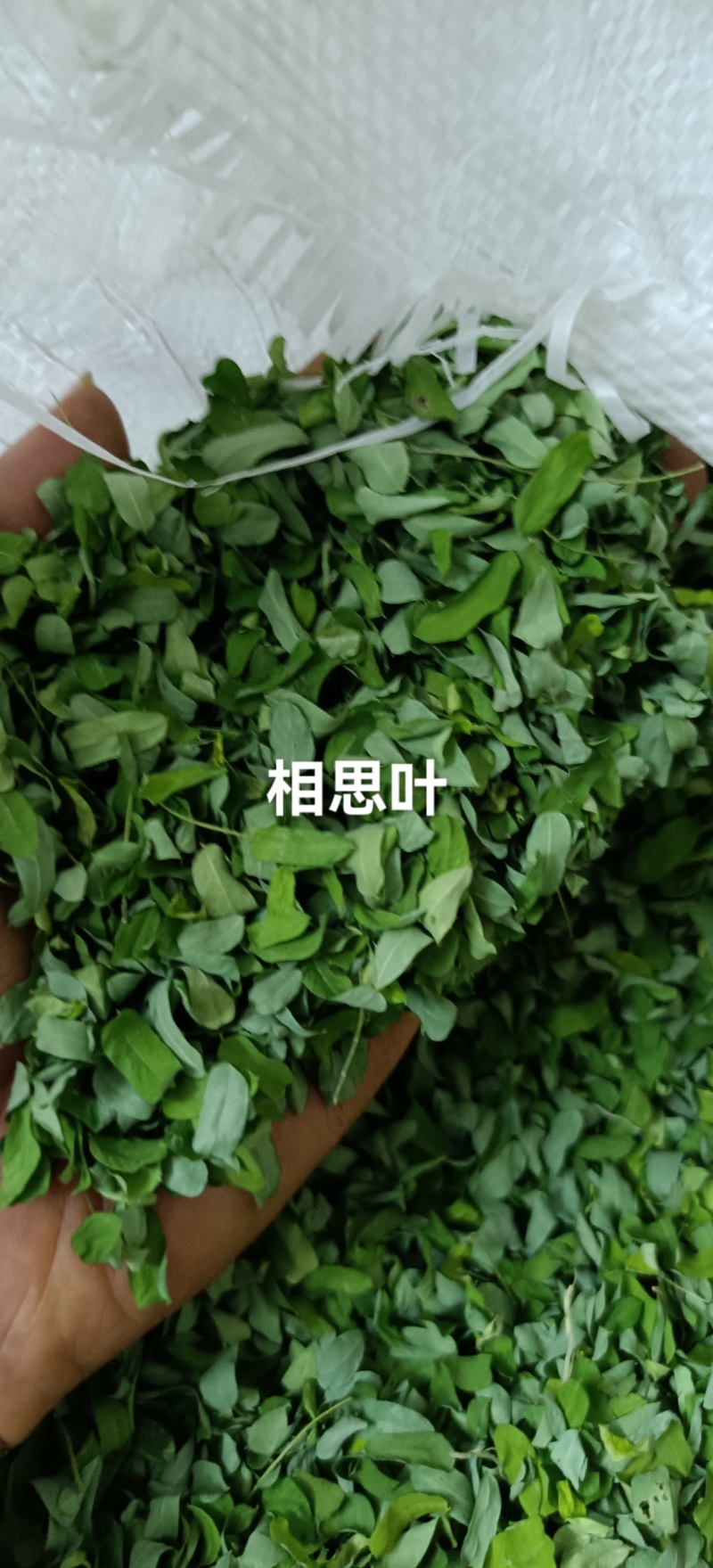 甜鸡骨草，相思叶（纯叶）