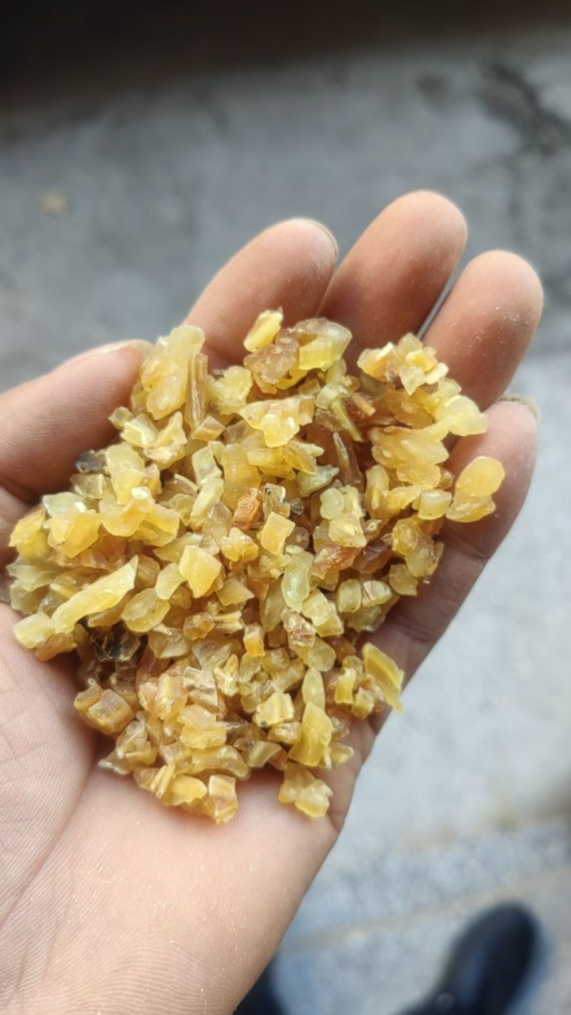 天冬天门冬中药材批发天冬春雨药材产地直销质量保证