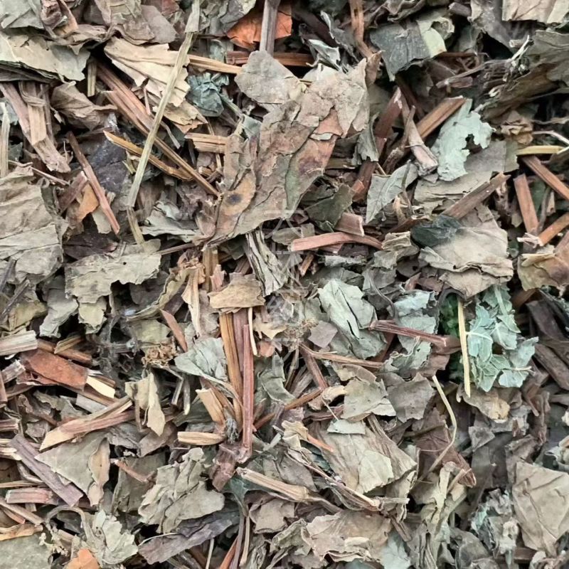 鱼腥草【包邮】三斤起发货可批量可零售量大从优