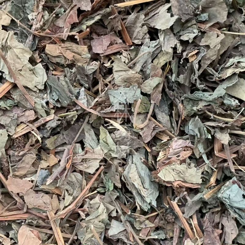 鱼腥草【包邮】三斤起发货可批量可零售量大从优