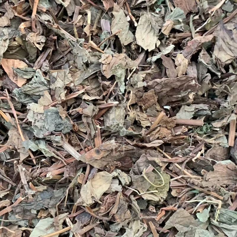 鱼腥草【包邮】三斤起发货可批量可零售量大从优