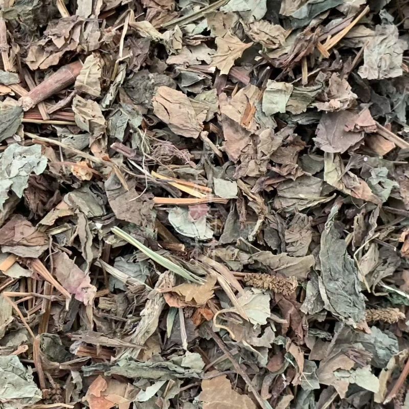 鱼腥草【包邮】三斤起发货可批量可零售量大从优