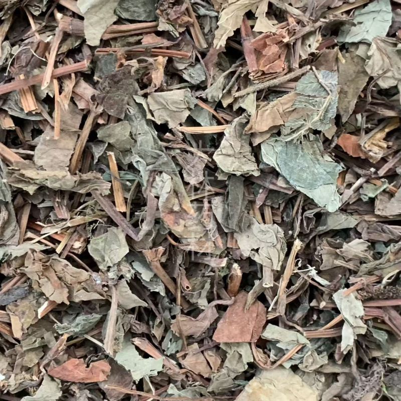 鱼腥草【包邮】三斤起发货可批量可零售量大从优