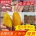【榴莲蜜薯】夏津红薯/现货供应/对接批发电商团购商超