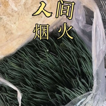 精品小葱