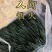 精品小葱
