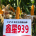 鑫星939玉米种子可稀植也可密植1春播夏播都是可以