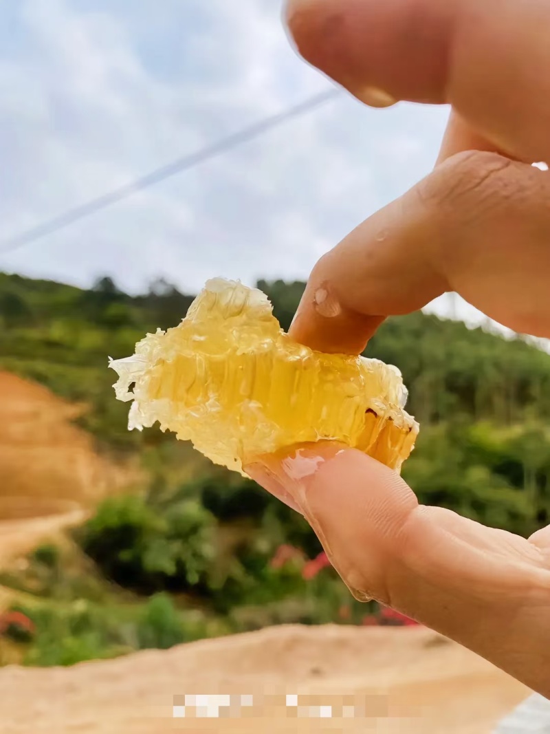 江西土蜂蜜