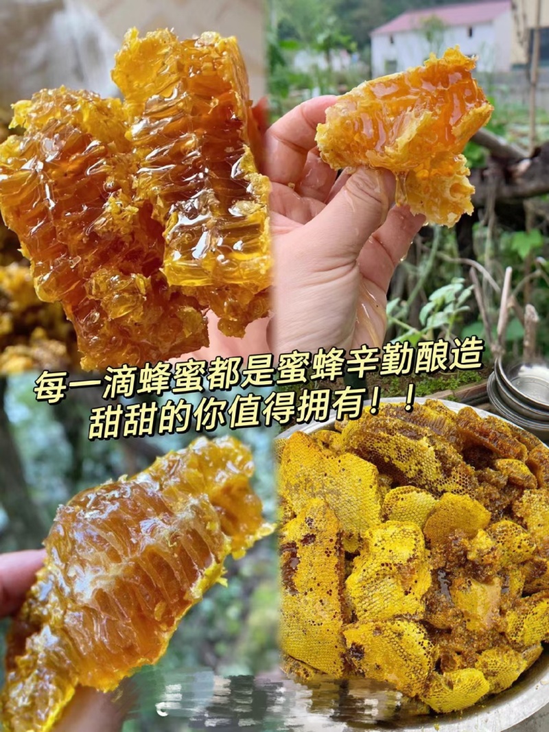 江西土蜂蜜
