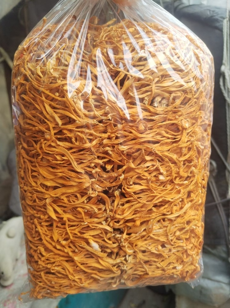 虫草花干品